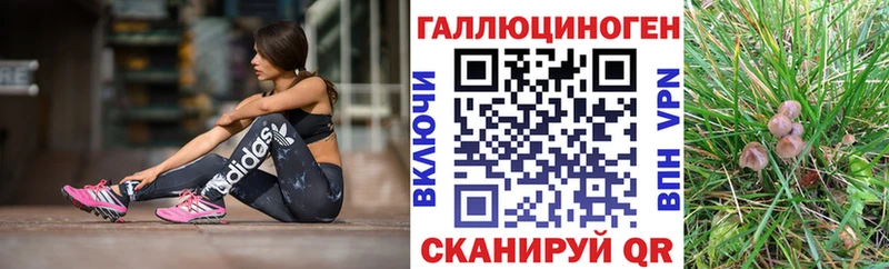 Галлюциногенные грибы GOLDEN TEACHER Лесосибирск